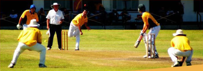 Goldfield ashes Cricket